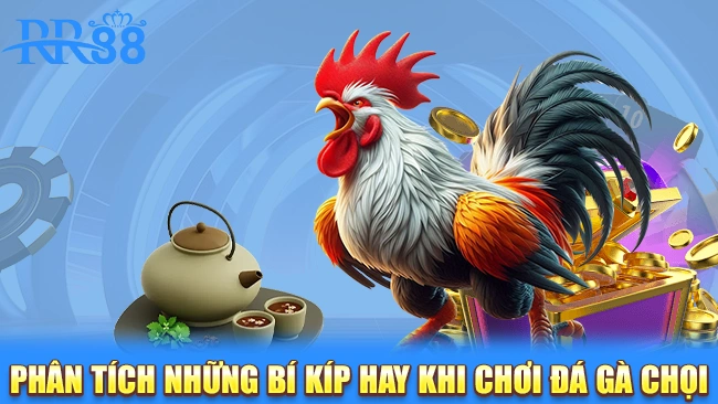 Phân tích những bí kíp hay khi chơi đá gà chọi