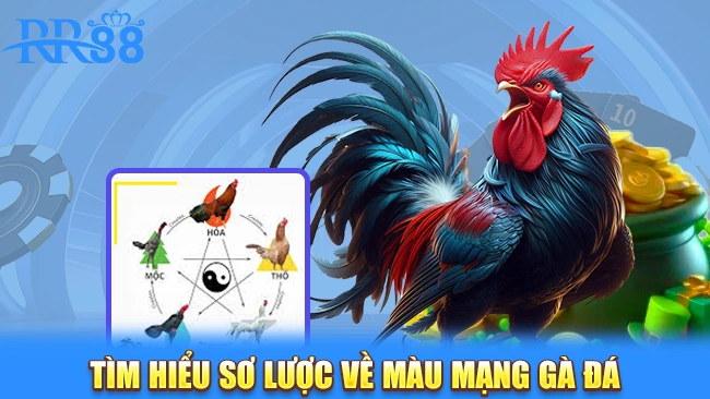 Tìm hiểu sơ lược về màu mạng gà đá